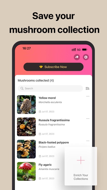 Picture Mushroom: Fungi finder screenshot-4
