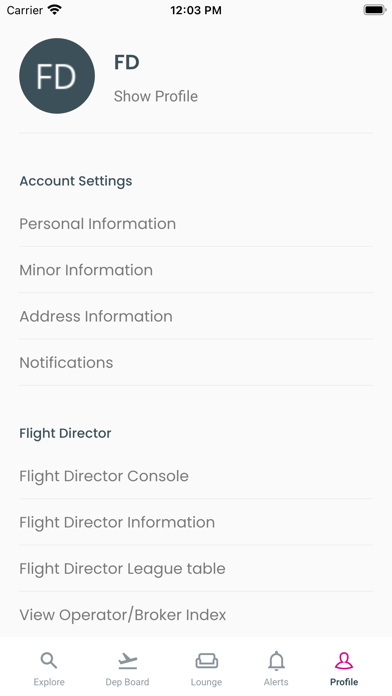 Flight Director Screenshot