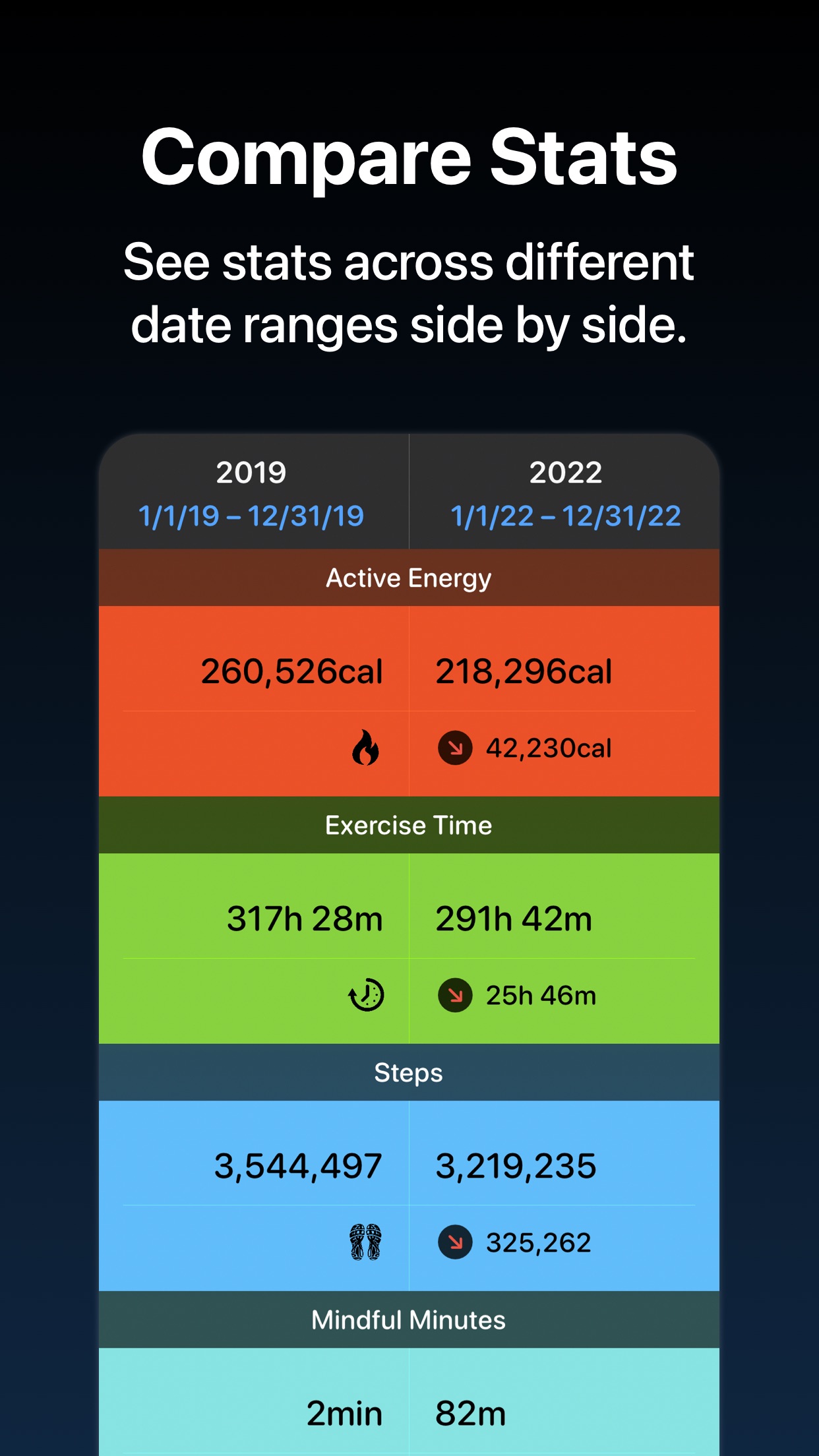 Screenshot do app Fitness Stats