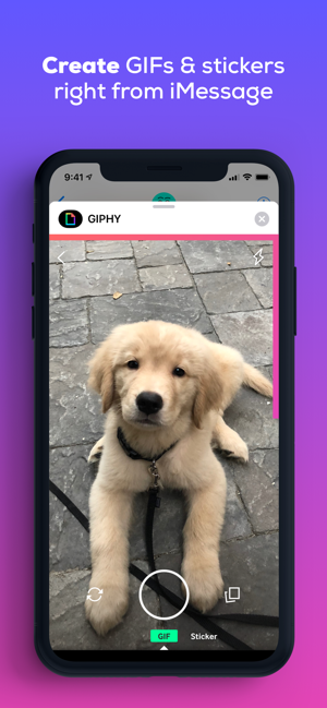 ‎GIPHY: The GIF Search Engine Screenshot