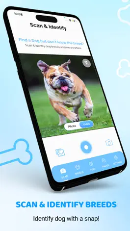 Game screenshot Dog Identifier: AI Dog Scanner mod apk