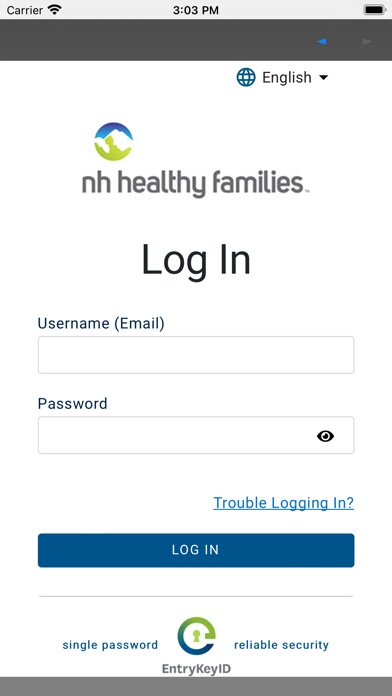 NH Healthy Families Screenshot