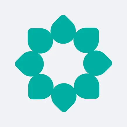 Calmerry for Counselors Читы
