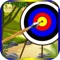 Hit Bow Archer Target - Stunning 3D graphics along with bow hunting attack in multi level
