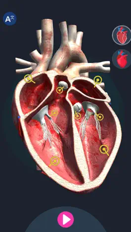 Game screenshot Human Anatomy 3D apk