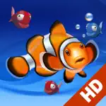 Aquarium Live HD+ App Problems
