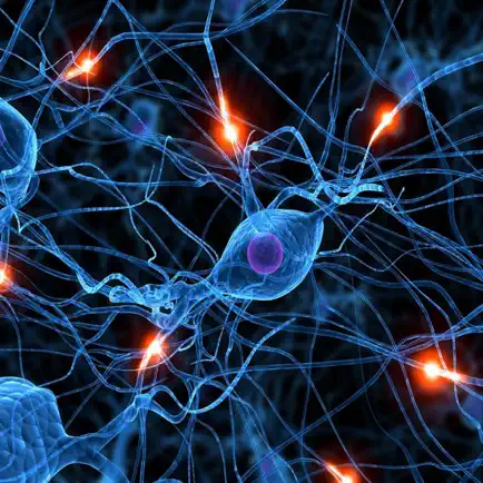 Human Nervous System Trivia Cheats