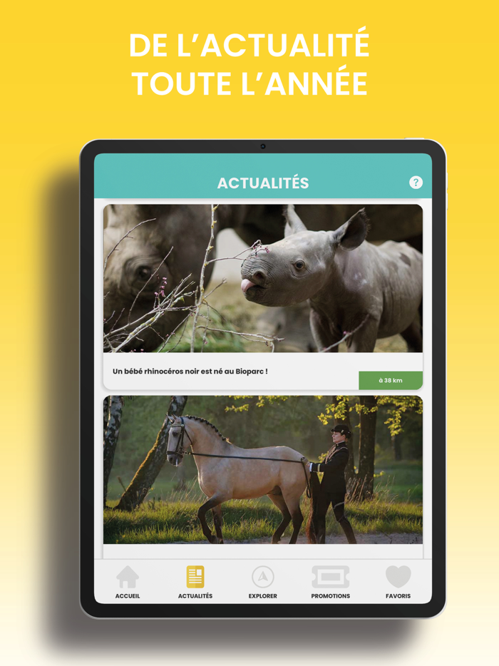 Andégave - Tourisme et Loisirs