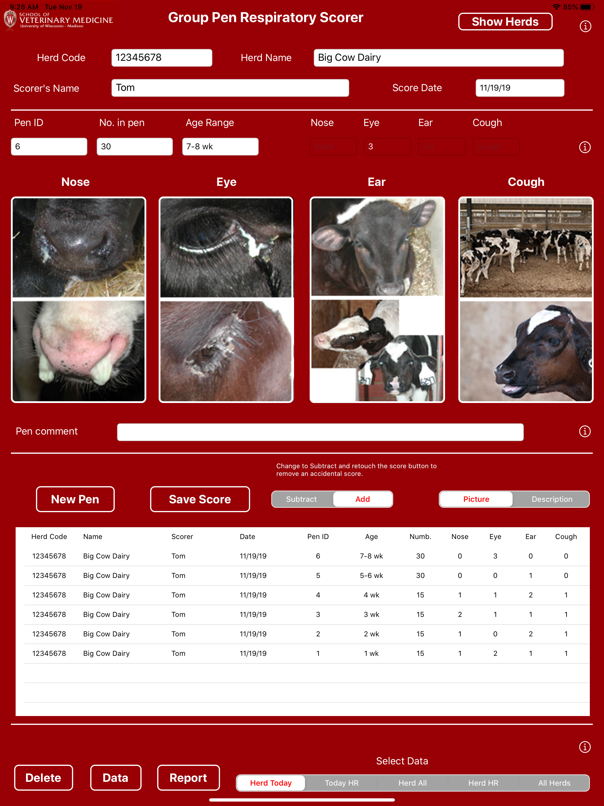 Group Pen Respiratory Scorer screenshot 11
