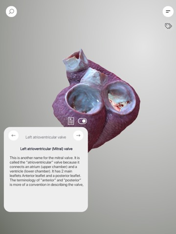 3D Heart Anatomyのおすすめ画像1