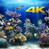 Aquarium 4K √ icon