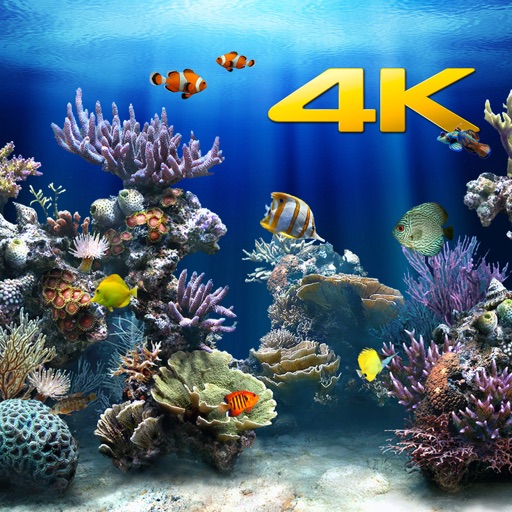 Aquarium 4K √ iOS App