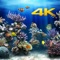 Aquarium 4K √