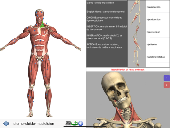 Screenshot #4 pour Visual Anatomy Lite