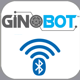 Ginobot Robot RC