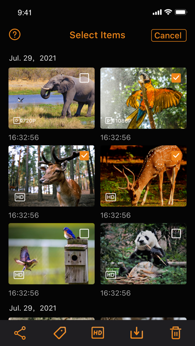 WingHomeCam: 4G Tra Screenshot