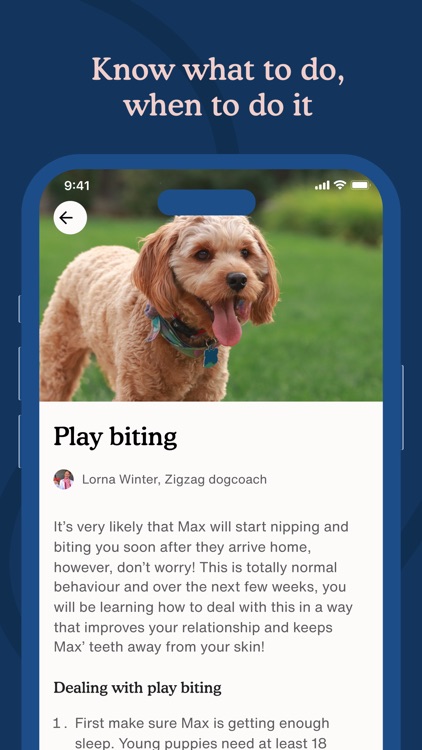 Zigzag Puppy Training App screenshot-5