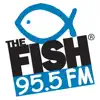 The Fish 95.5 FM problems & troubleshooting and solutions
