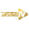 BRAVE GLOBAL WLL - BRAVE TV: MMA Fights & more アートワーク