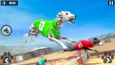 Dog Racing Championship Game Screenshot