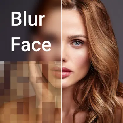 Photo Mosaic blur Читы