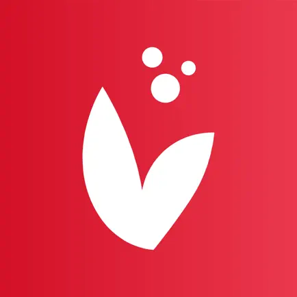 Bgo Student Читы
