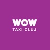 WOW Taxi Cluj icon