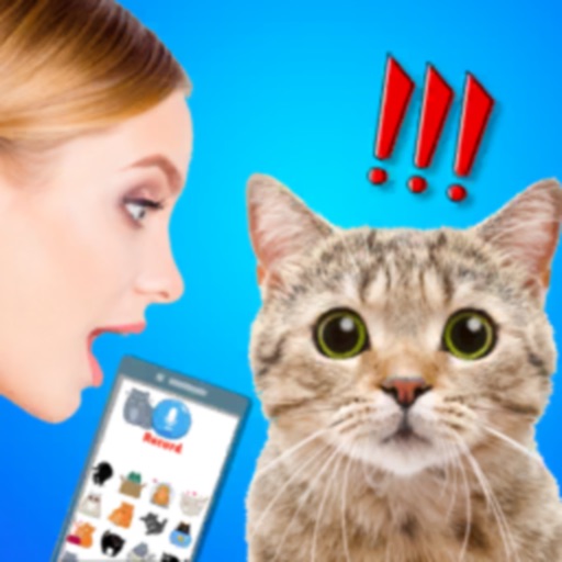 Cat Translate: talk to Kitten iOS App