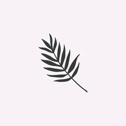 Essential MVMT App Cheats