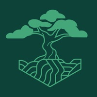 BonsAI logo