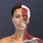 Chronic Migraine Anatomy app download
