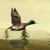 Wild Duck Hunter icon