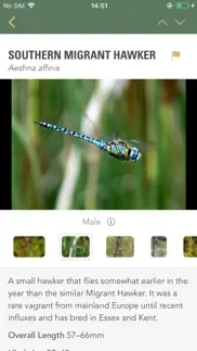 How to cancel & delete dragonflies & damselflies 2