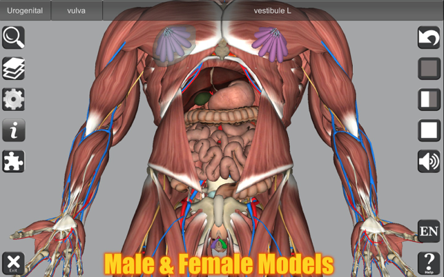 Snímek obrazovky 3D anatomie