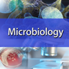 Nursing : Microbiology Quiz - Gulsen CAKIR