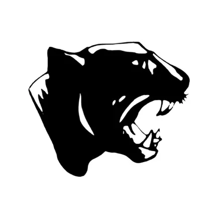Edmeston CSD Читы