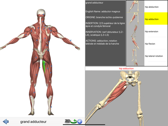 Screenshot #5 pour Visual Anatomy Lite