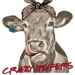 Crazy Heifers Wholesale App Positive Reviews