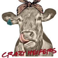 Crazy Heifers Wholesale logo