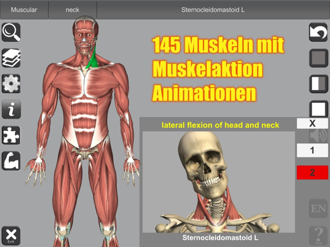 ‎3D Anatomy Screenshot