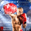 Punch Fight Boxing Champ - iPadアプリ