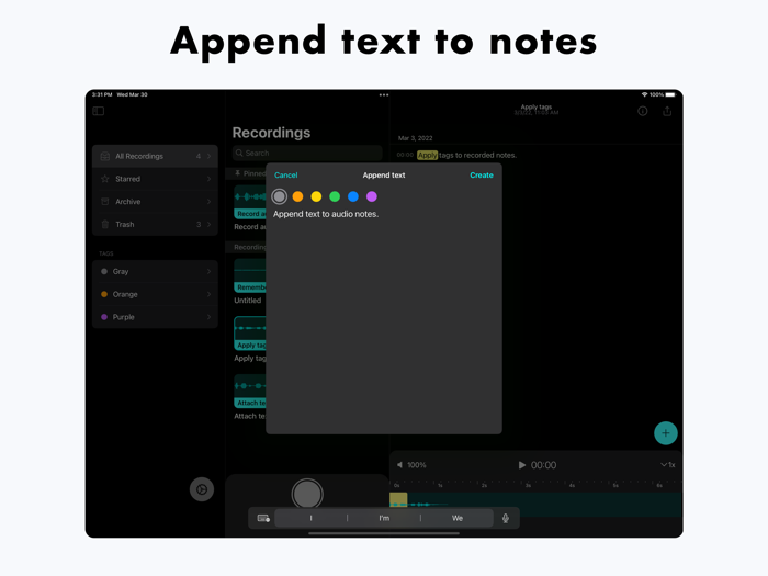 Depict  Audio Notes