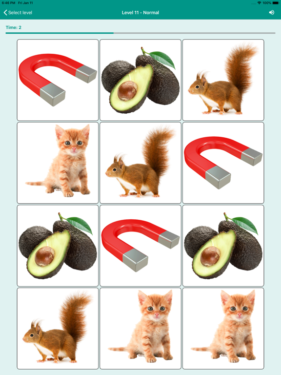 Brain game. Picture Match iPad screenshot 6 - Games app