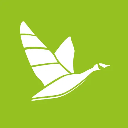 iLEAD Leadership Tips Cheats