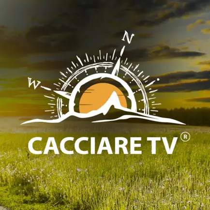 Cacciare TV Cheats