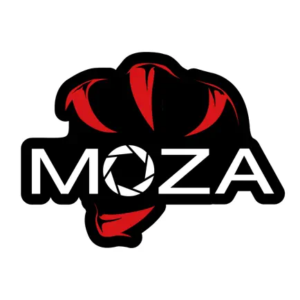MOZA Master Читы