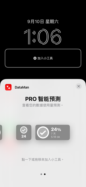 ‎DataMan - Data Usage Widget Screenshot