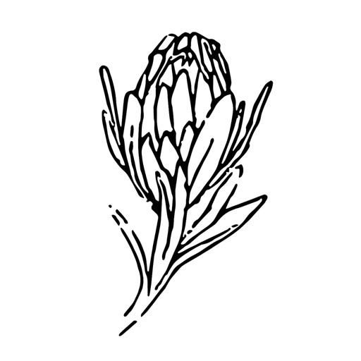 Protea Diamonds 1984 ltd