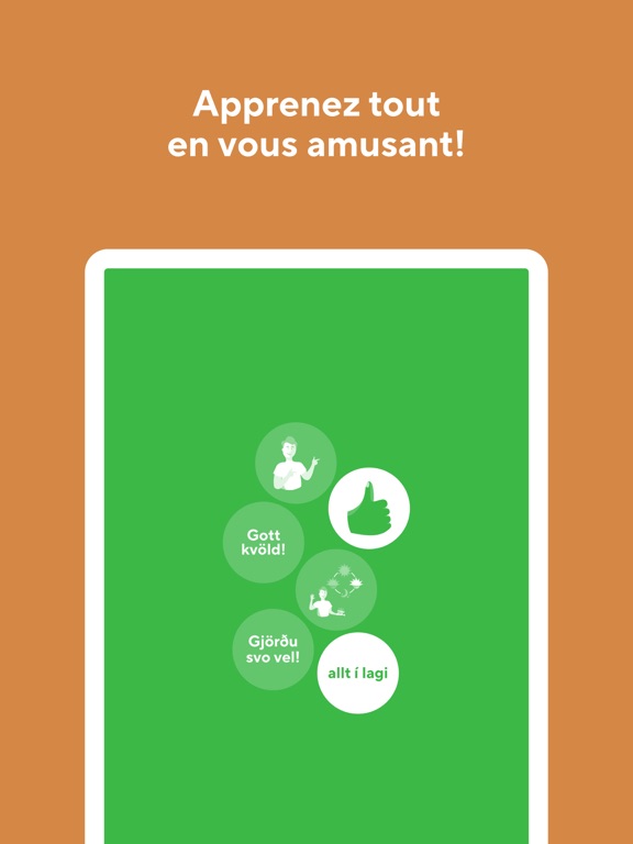 Screenshot #6 pour Apprendre la langue islandaise