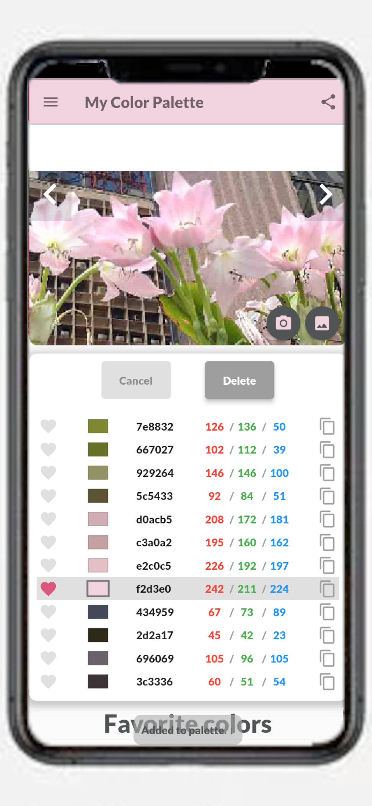 My Color Palette with Photos